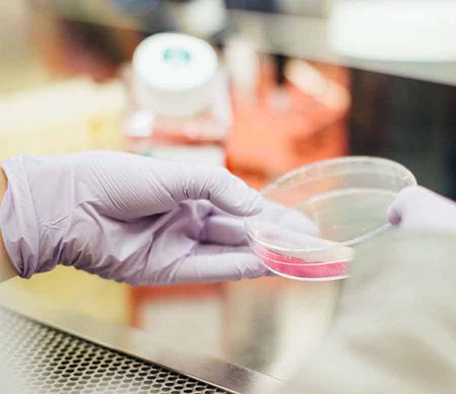 Sanuwave Health, Incorporated